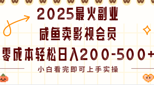 2025最火副业闲鱼卖vip影视会员，零成本日入200-500