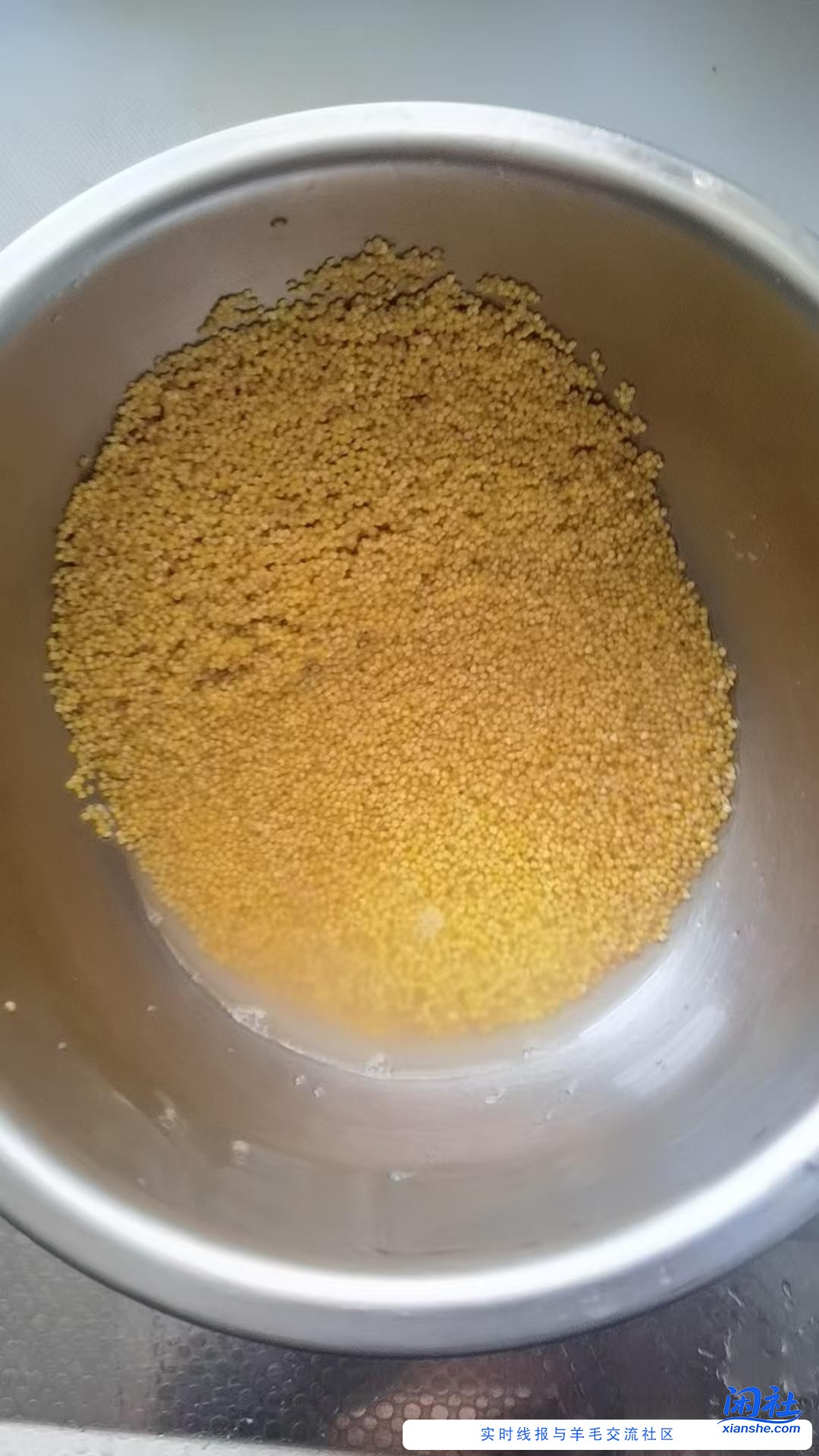 用4元撸质量不错