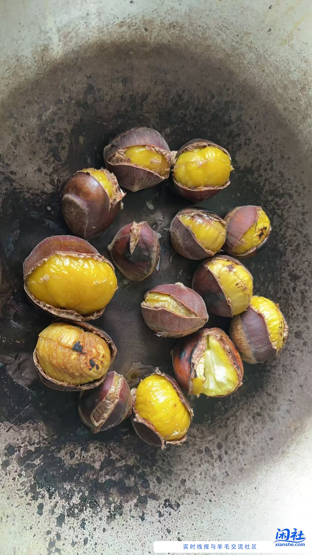 板栗不错，美团优选