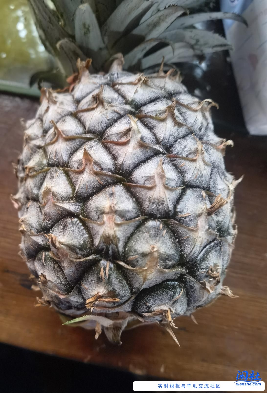 东哥4元卷撸的菠萝真不错