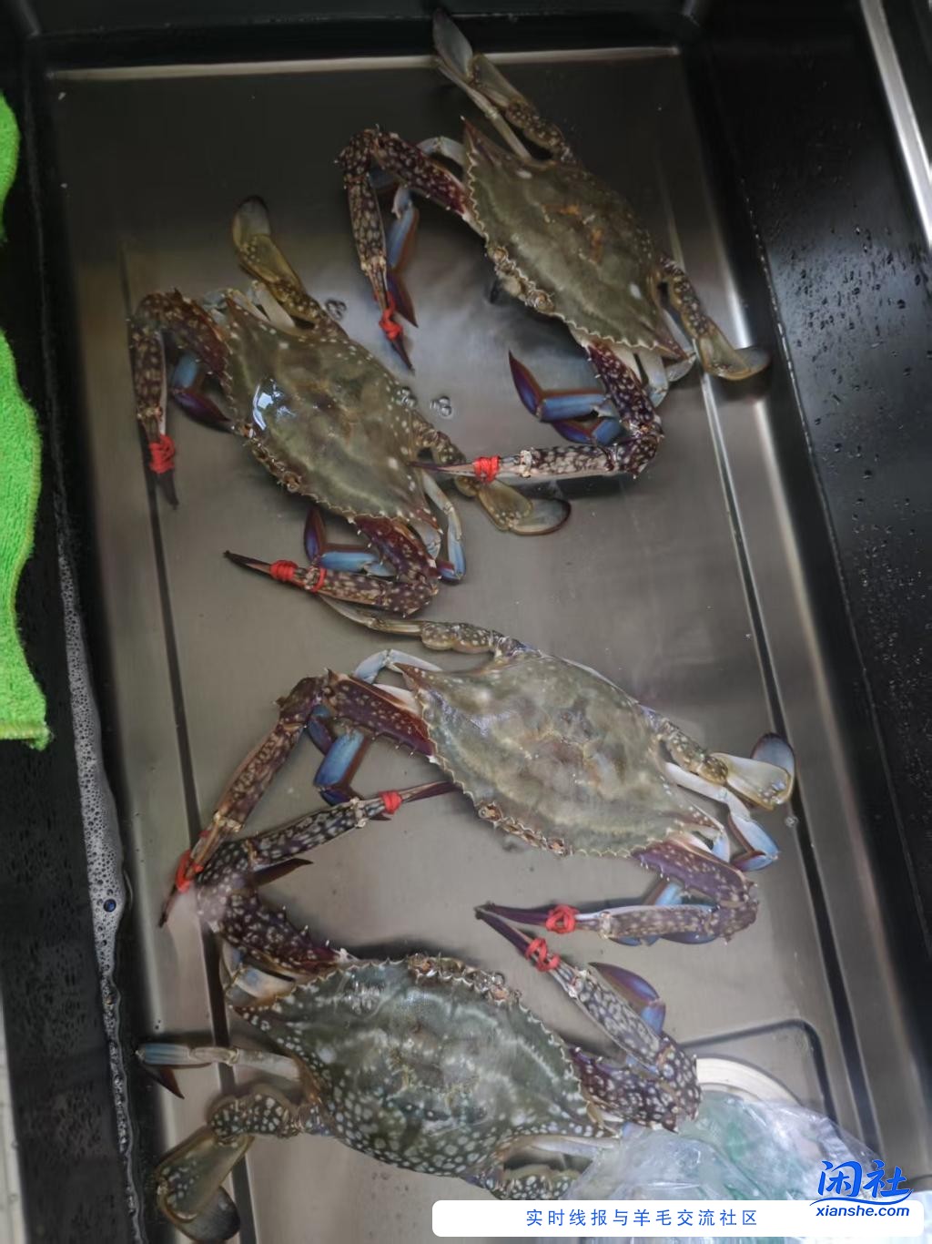 开海了，价格下来了