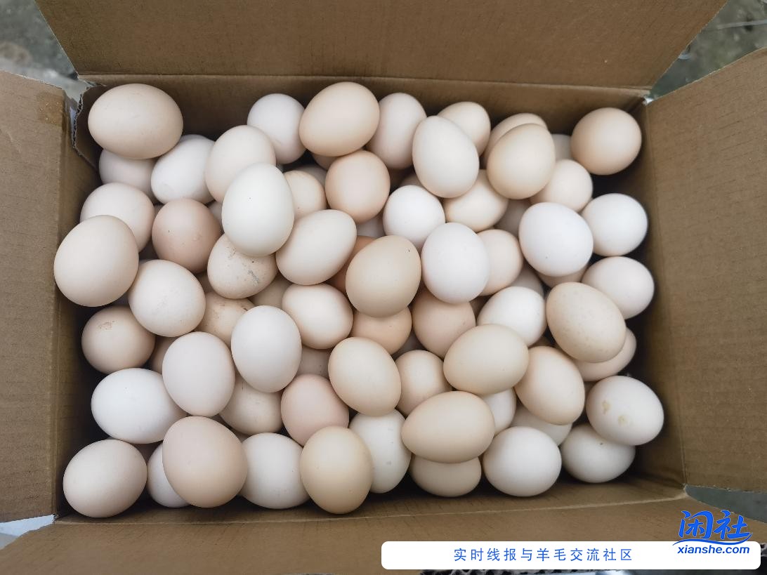 狗东4元卷京喜买的东西到了一批