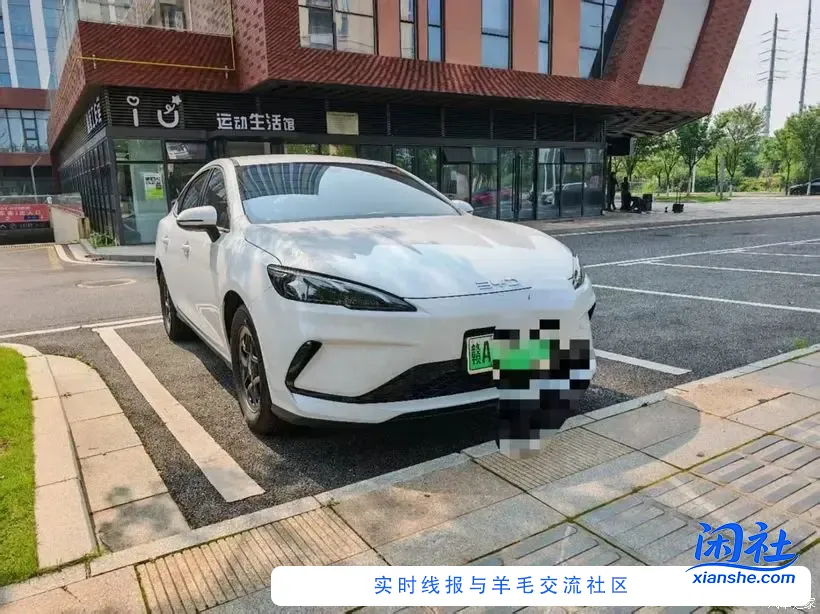 上个月撸过的大毛又可以了，速度