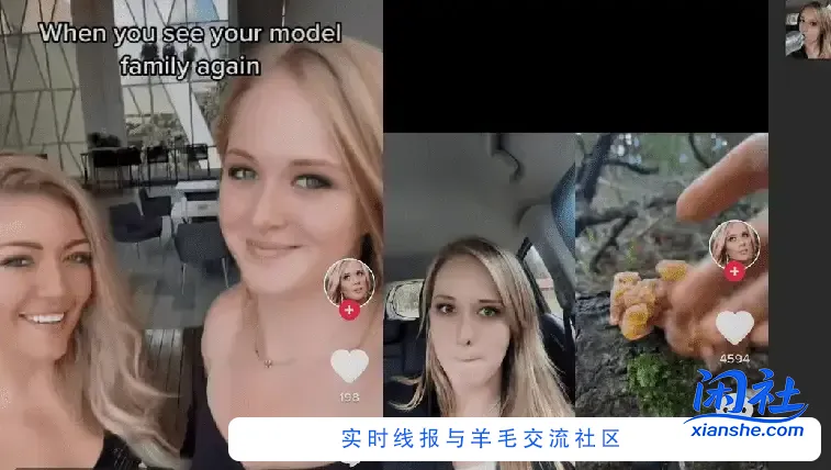 抖音海外版TikTok v41.1.3去广告解除封锁版