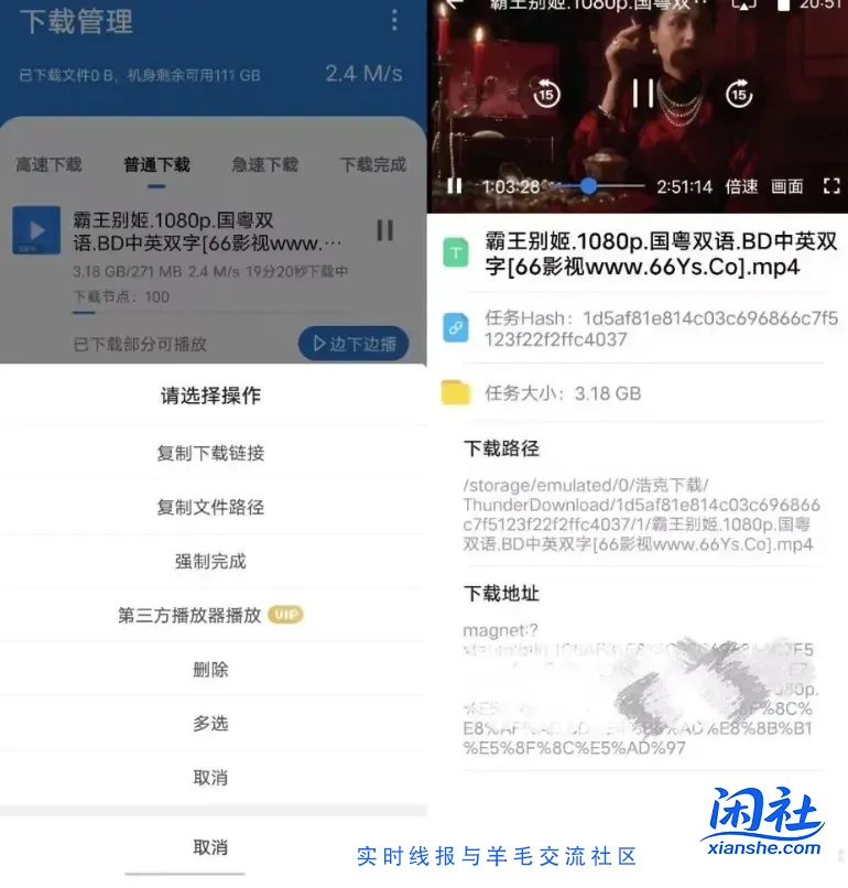 浩克下载高级版，比肩比特彗星，安卓手机的最强下载应用