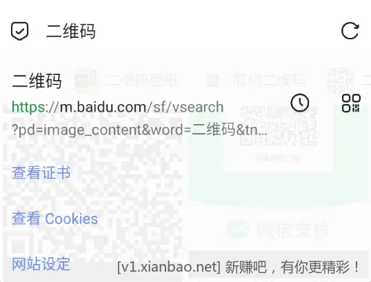 Via浏览器 v6.7.1 解除资源嗅探限制版APP