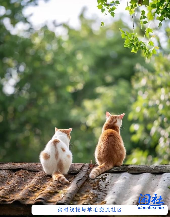 民生转账都薅了多少羊毛？我大约弄了200多