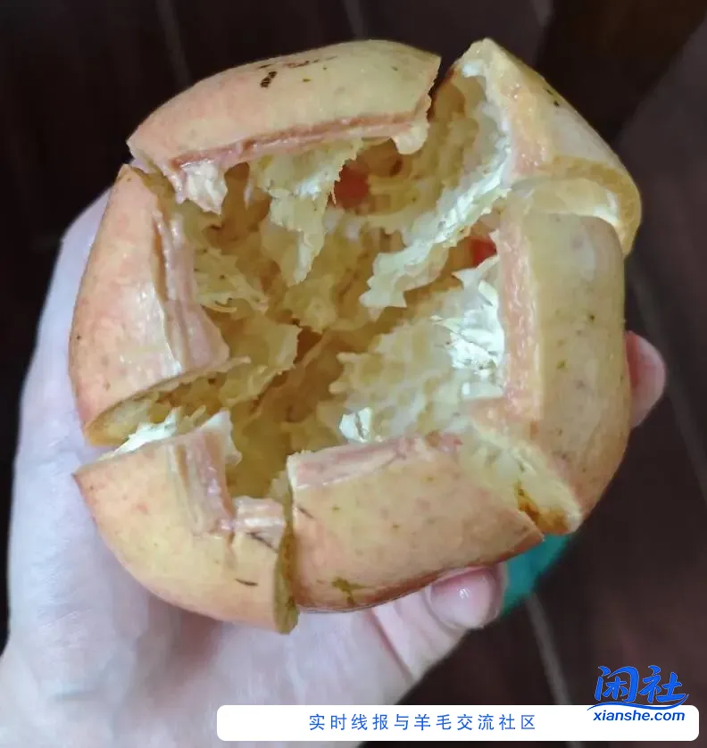 [分享转发]又到了敲石榴的月份了，敲一大碗，舀着吃，舒坦~