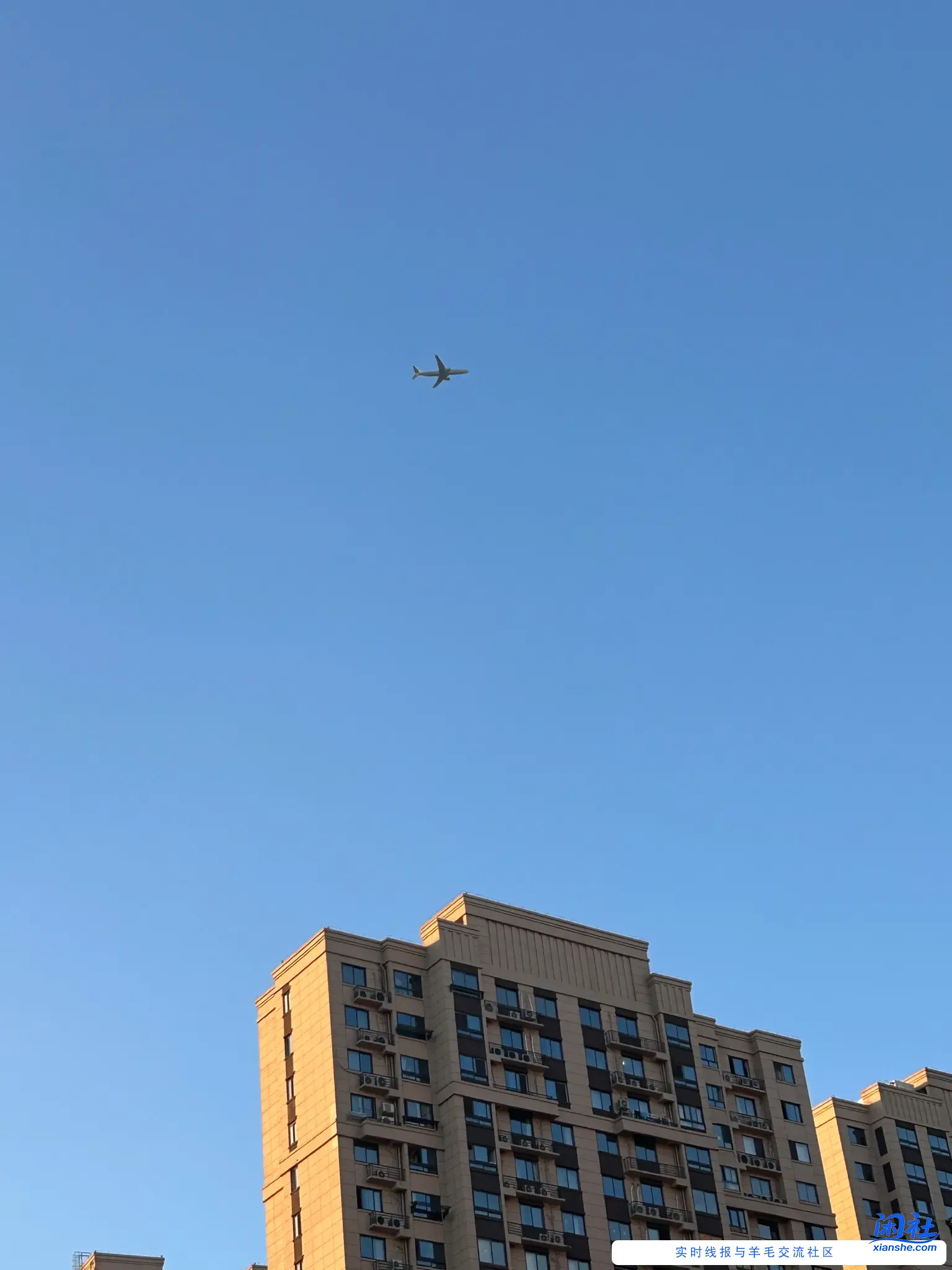 病了三天不见好，出门晒晒太阳