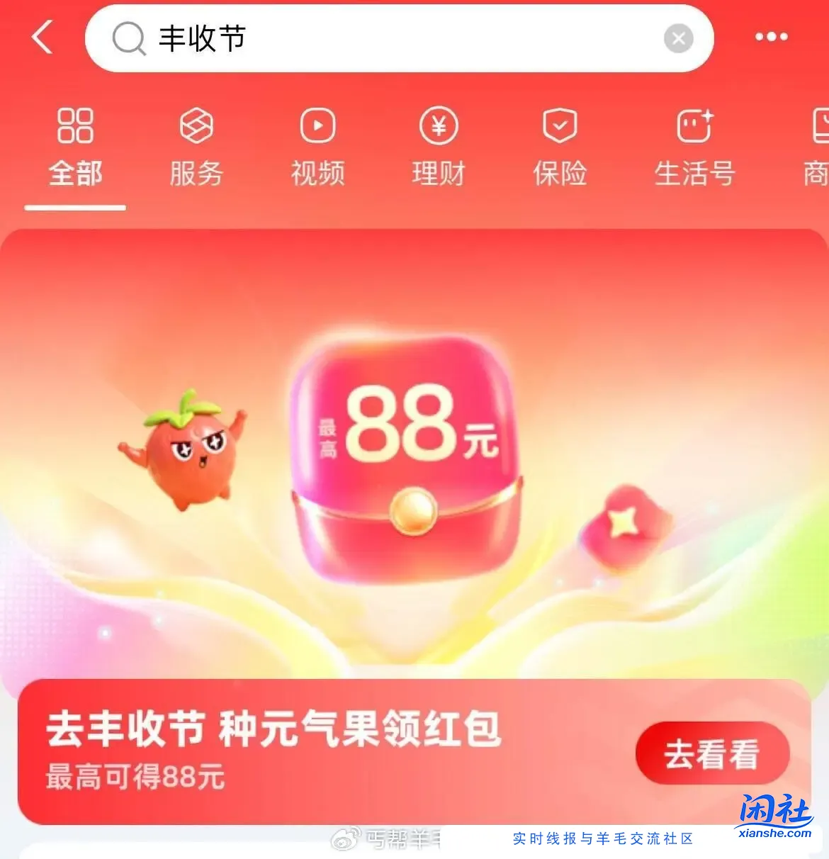 支付宝88大毛