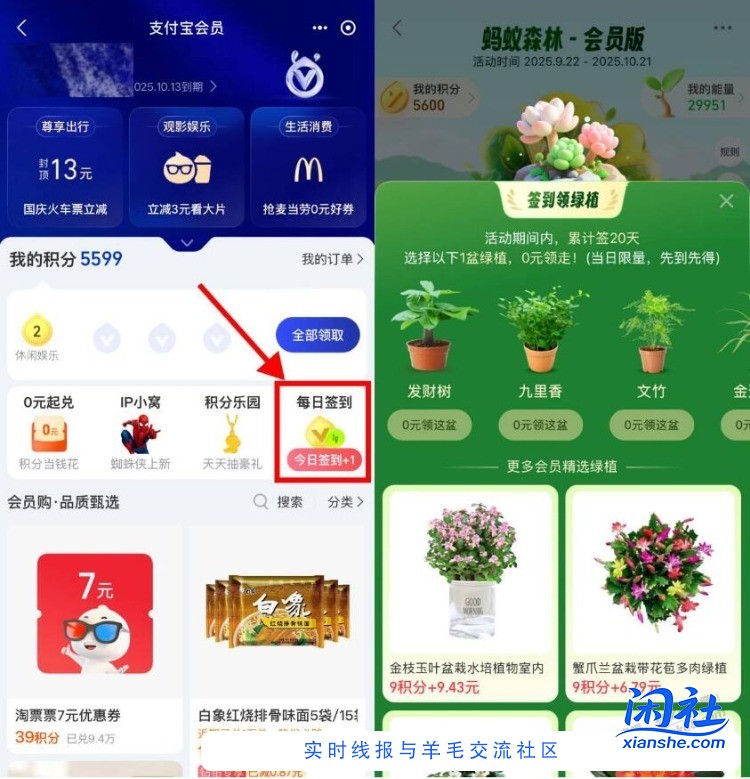 zfb丨我的-zfb会员 如图右侧“每日簽.到” 累计簽.到0亓拿绿植 簽.到天数每个人不同