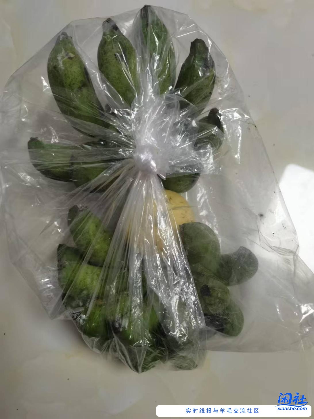 京喜的香蕉我又崔熟了