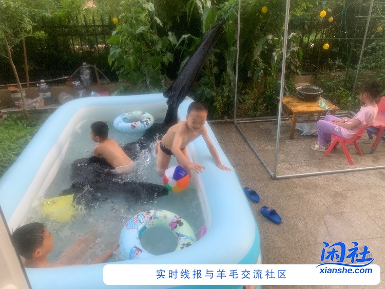 泳池后续，非常值得（有几点教训）