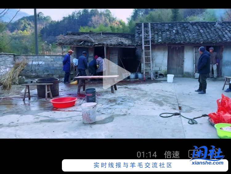 30一斤的黑猪肉 上次买了5000块钱