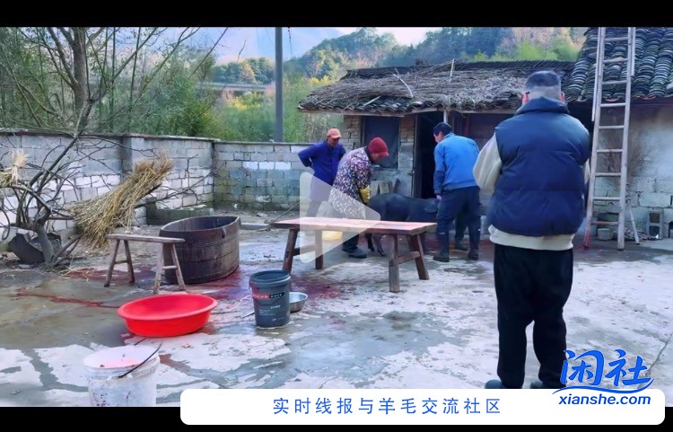 30一斤的黑猪肉 上次买了5000块钱