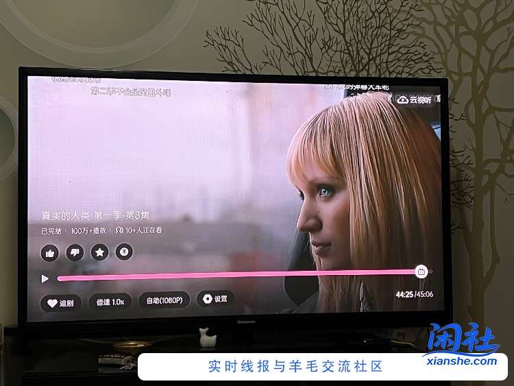 这美剧也太好看了吧，求推荐类似的