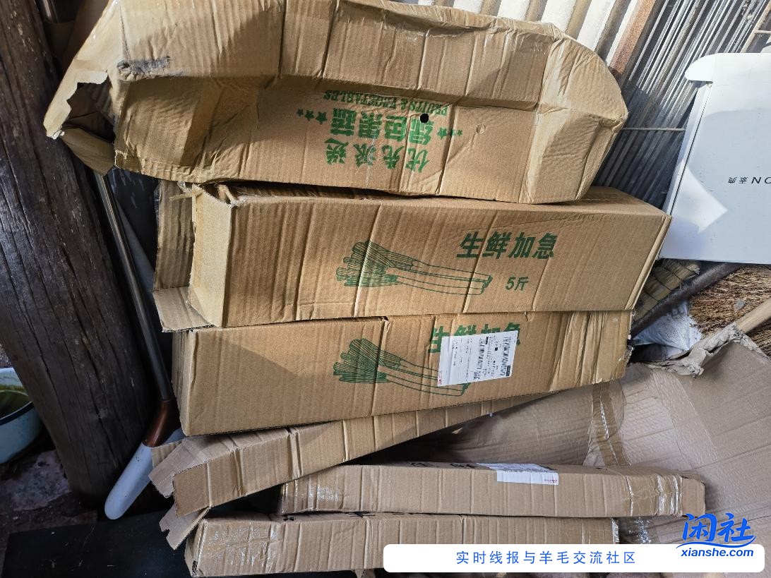 京喜大葱收到了