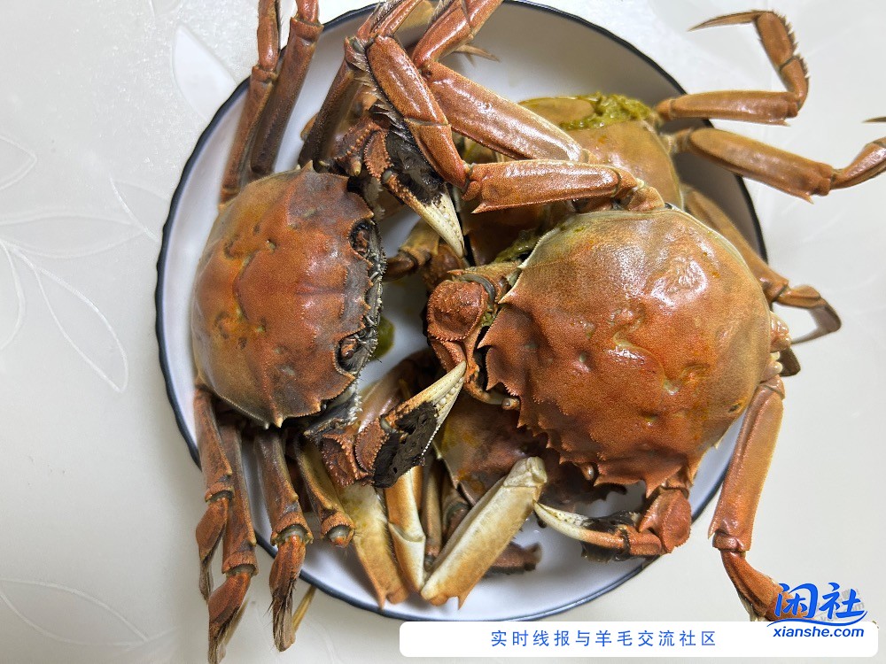 京东的活蟹能买吗？差不差