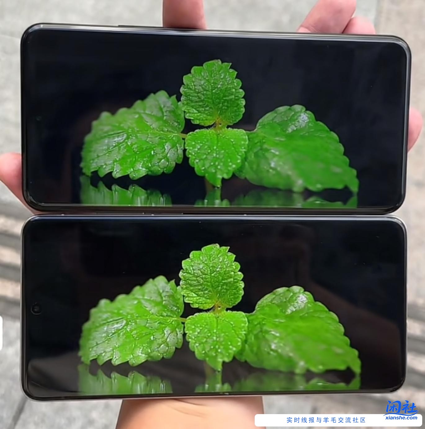 你们买手机只看内存，对其他硬件没要求？