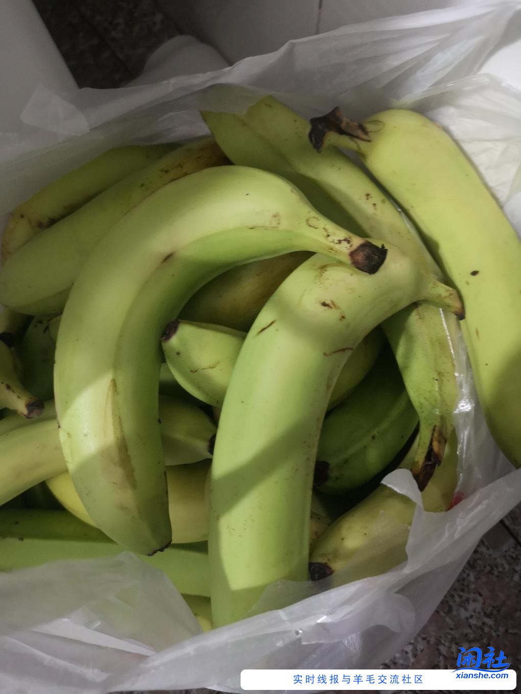 京东免费的28斤香蕉到齐了。。又粗又大 吃用都可以