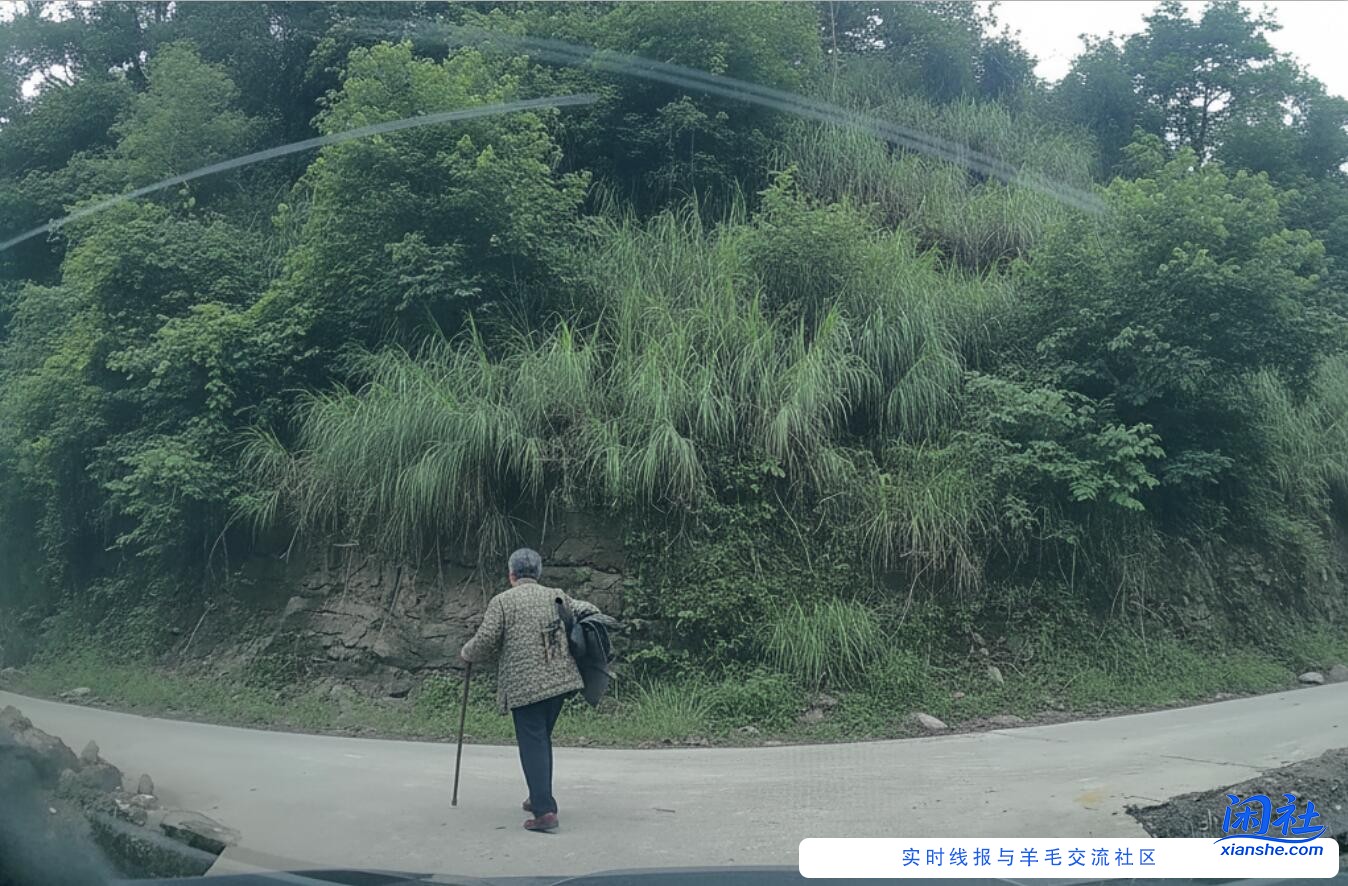 开车前面遇到拄拐老人，喇叭我都不敢按......