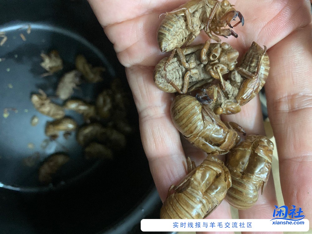 感觉看中医好贵呐