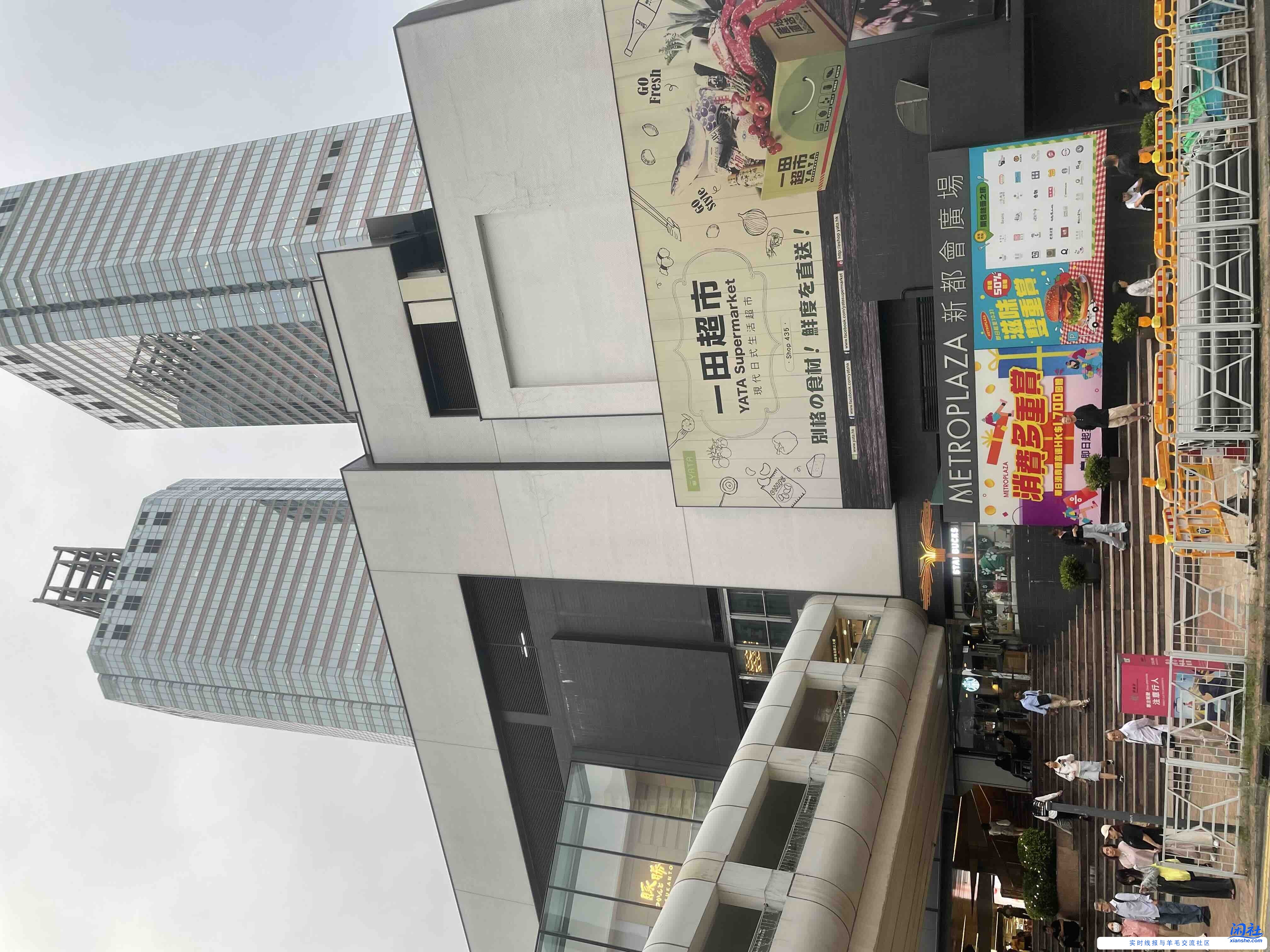 有在新界葵涌广场附近的吧友们，一起来撸猫（如图）