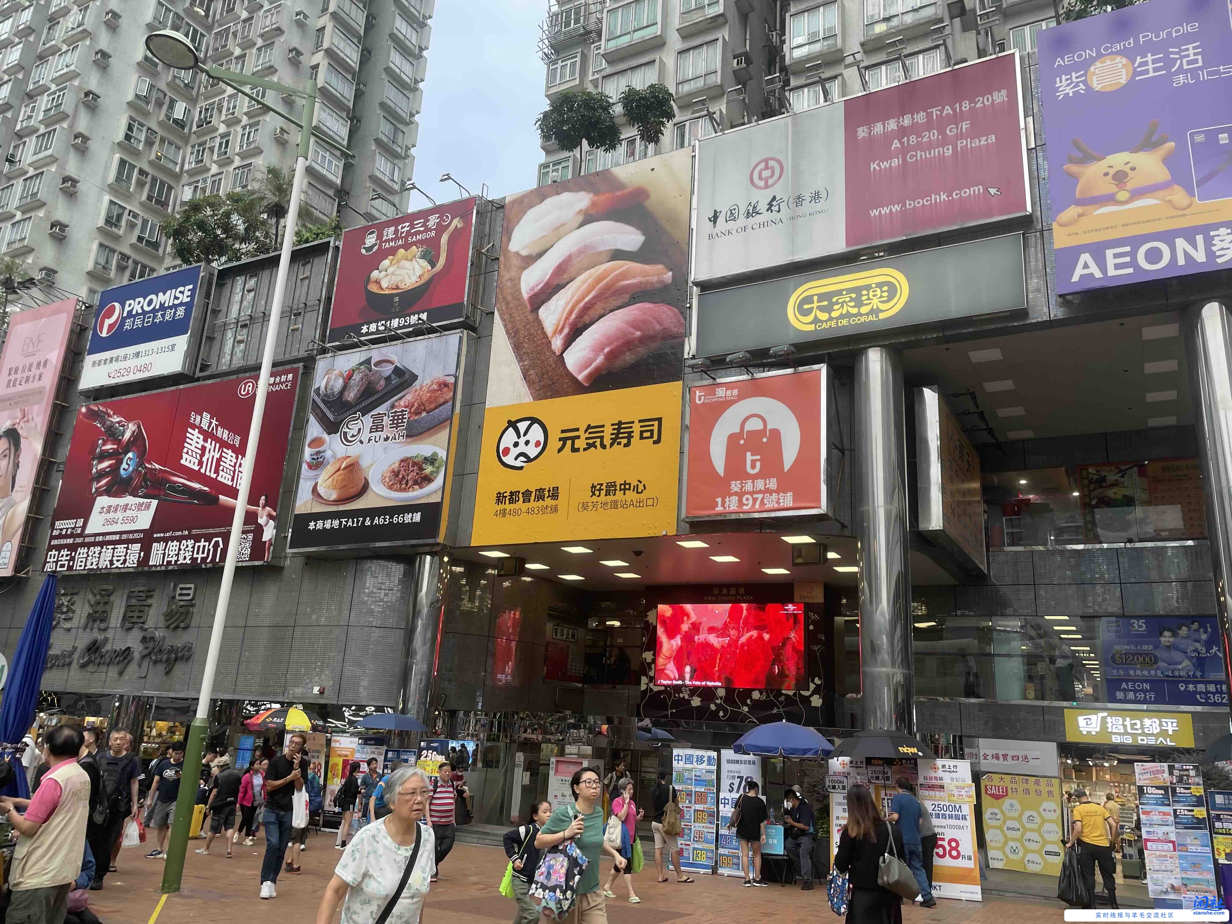 有在新界葵涌广场附近的吧友们，一起来撸猫（如图）