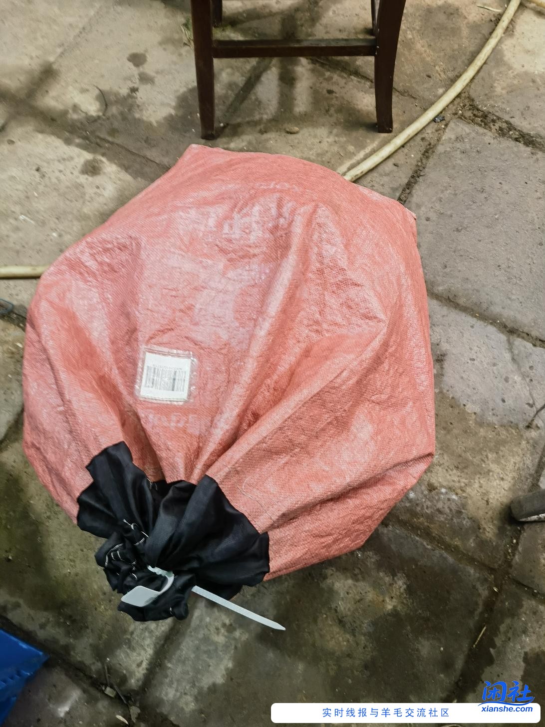 狗东年底应该给我发奖励才对