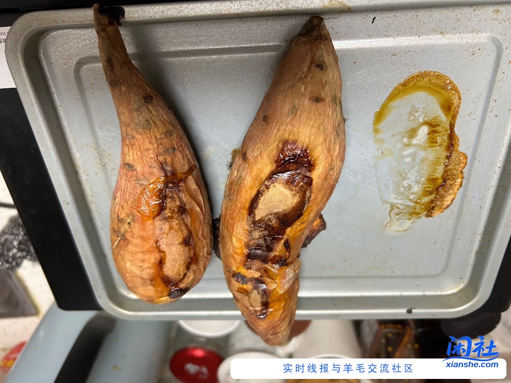 撸了快50斤红薯了。。今天又买了10斤