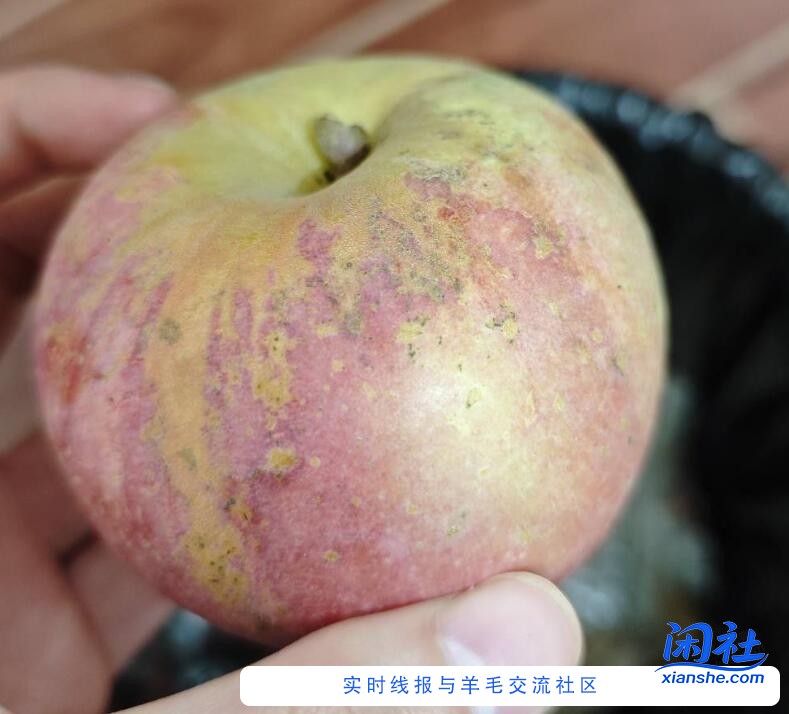 PDD的低价水果卖相普遍不行，但是削皮味道是真不错