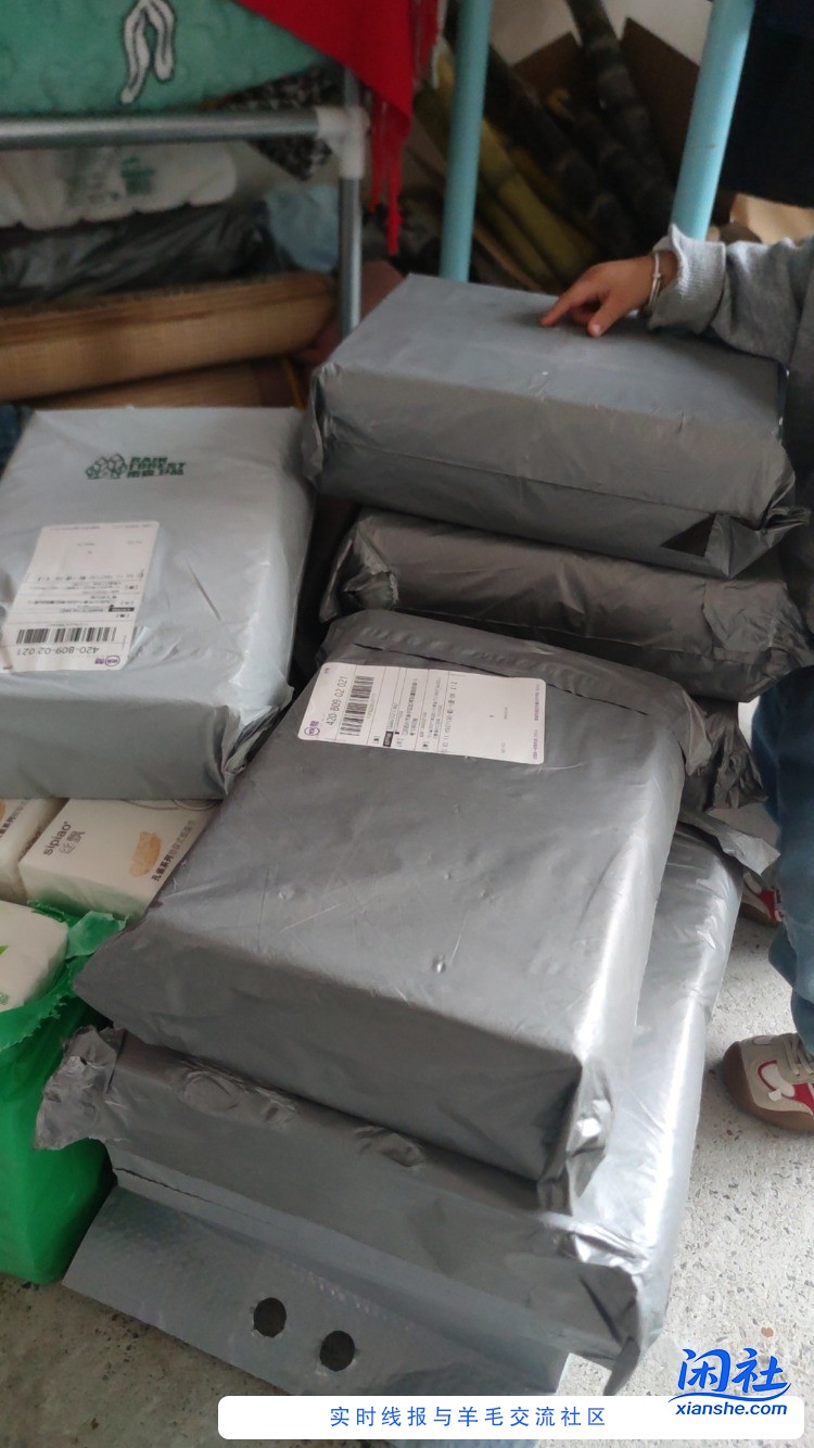 不要钱的雨森你们撸不撸啊？