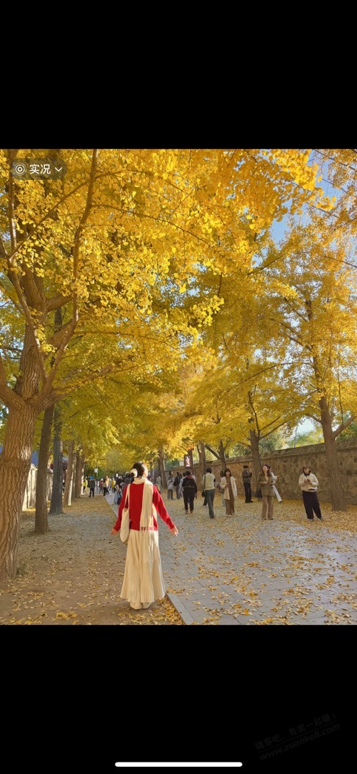 北京的秋天尊嘟是这样吗