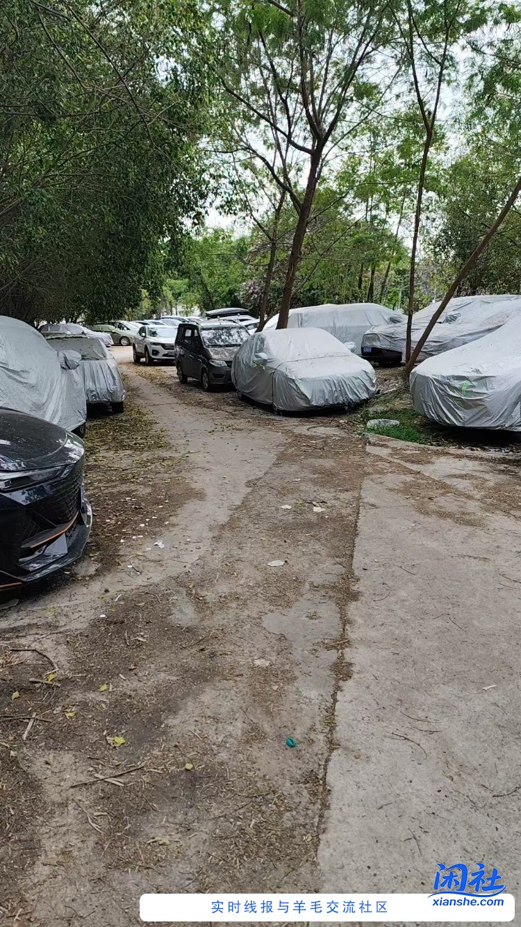 呜呜呜 隐形用车成本真肉疼