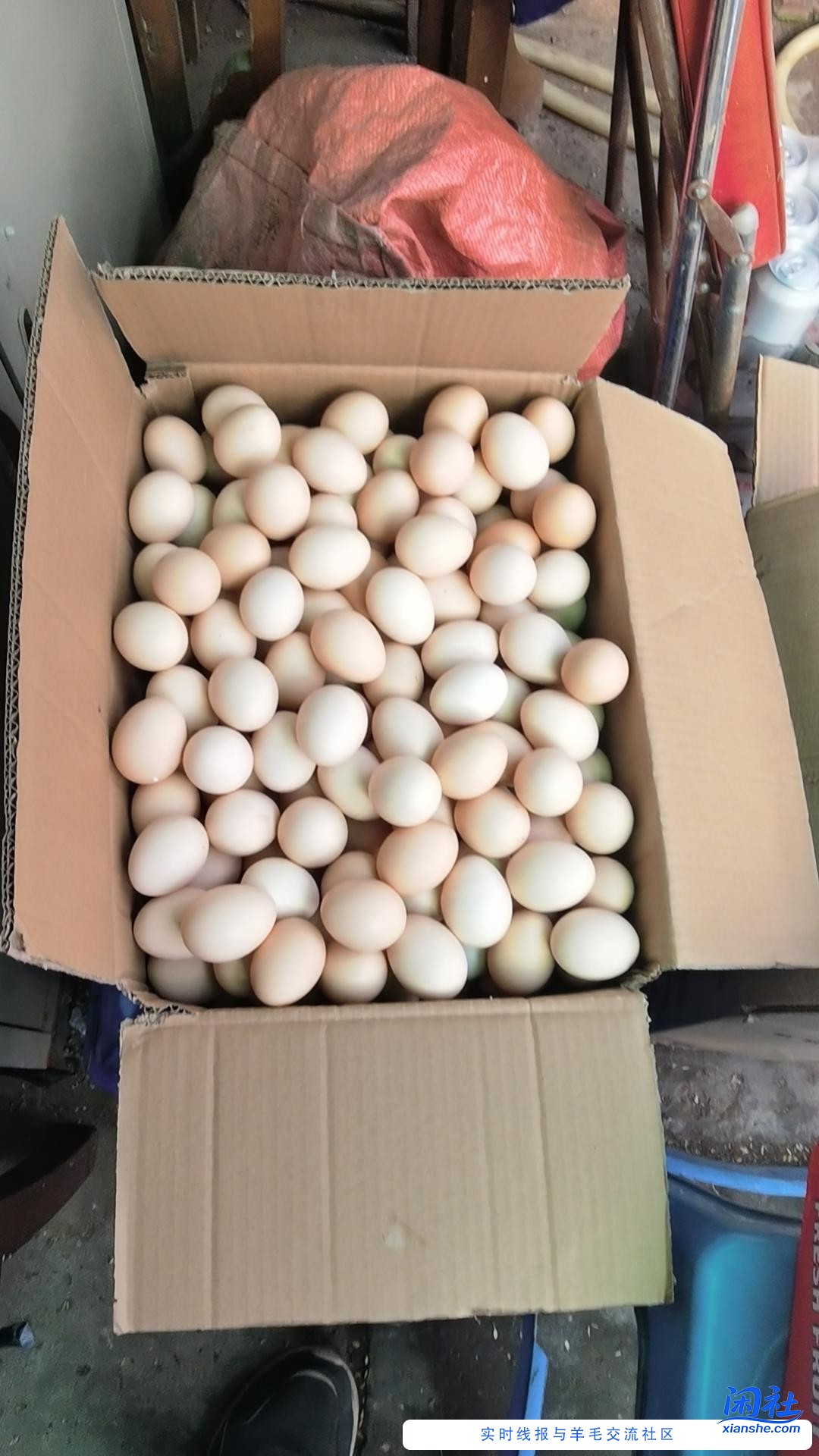 你们给我起名京喜哥