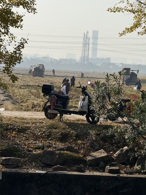 线下薅羊毛的典范