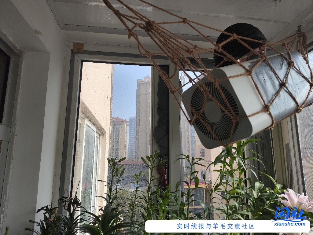 推荐自制新风，成本100多吧。