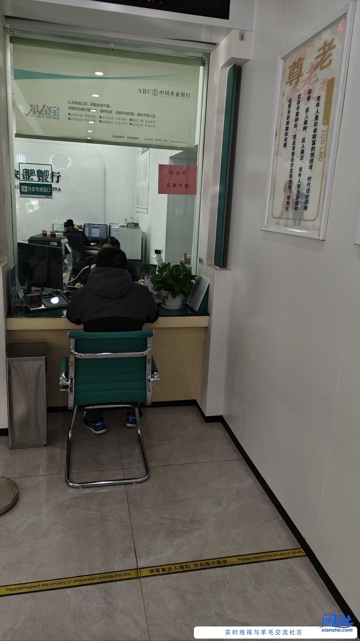 净币网点连个黄牛都没呀