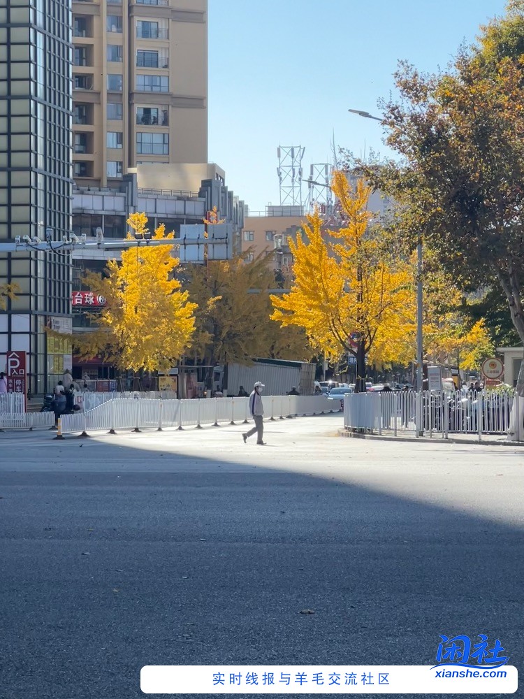 昆明人的一下午