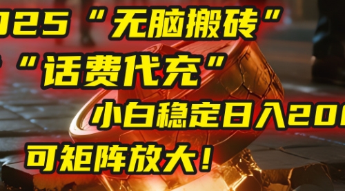 脑搬砖项目：靠“话费代充”，小白稳定日入200+，可矩阵放大